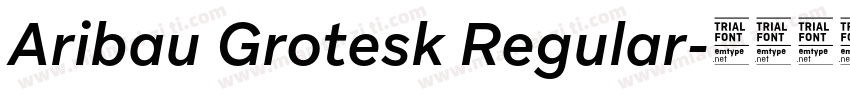 Aribau Grotesk Regular字体转换